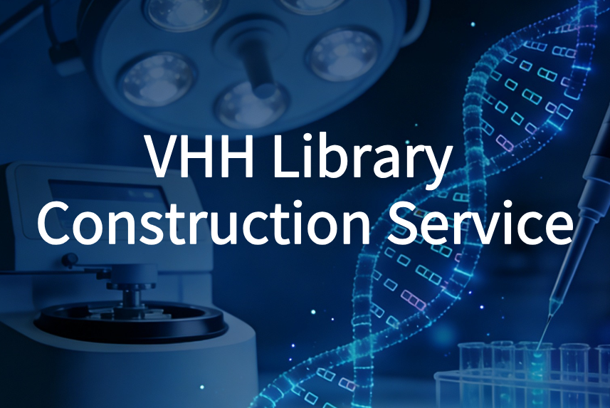 VHH Library Construction Service