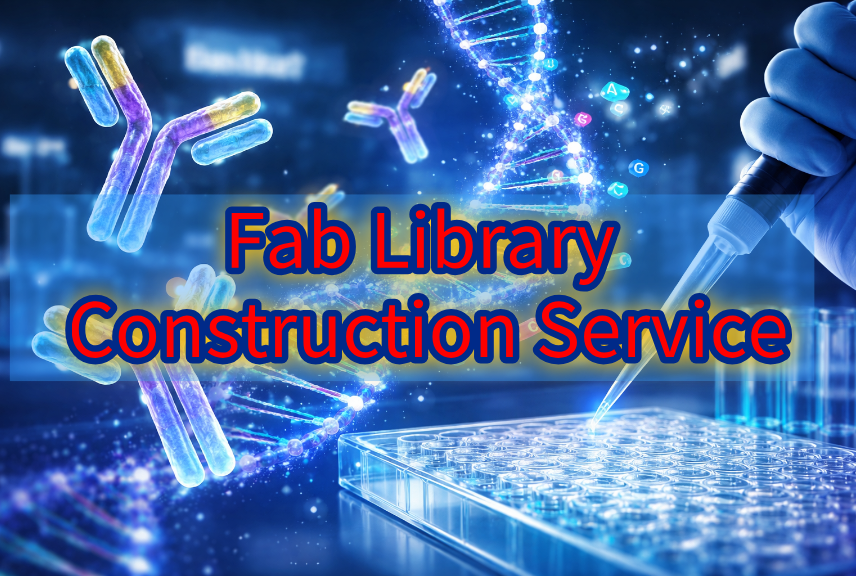 Fab Library Construction Service