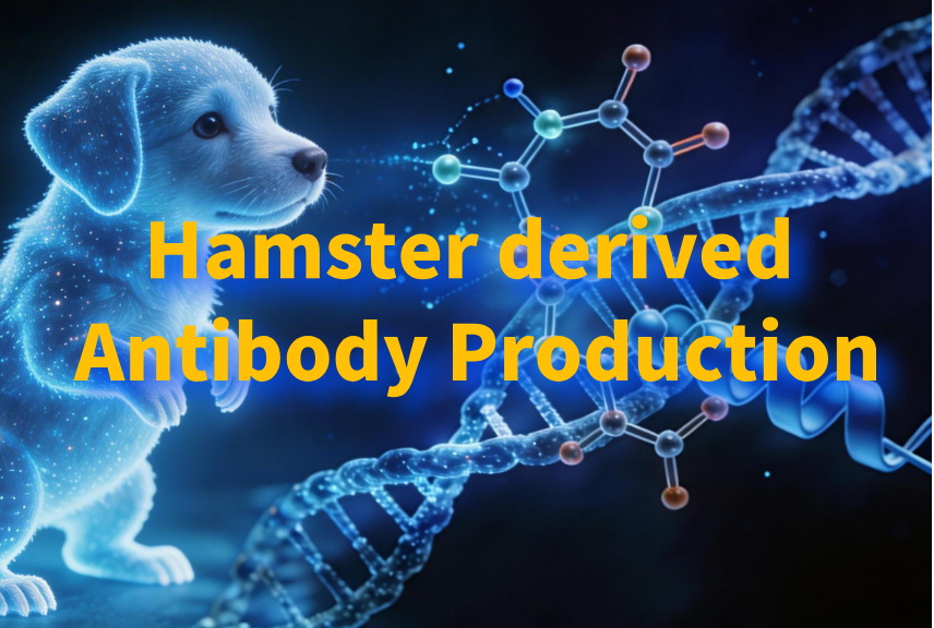 Canine derived Antibody Production