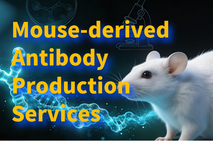 Mouse-derived Antibody Production Services