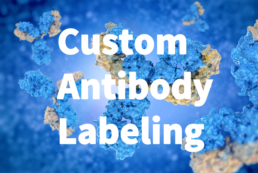 Custom Antibody Labeling