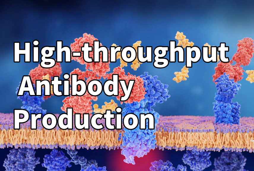 High-throughput Antibody Production